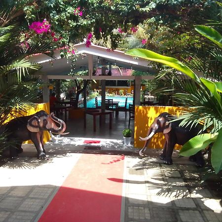 La Perla Bentota Hotel Exterior photo