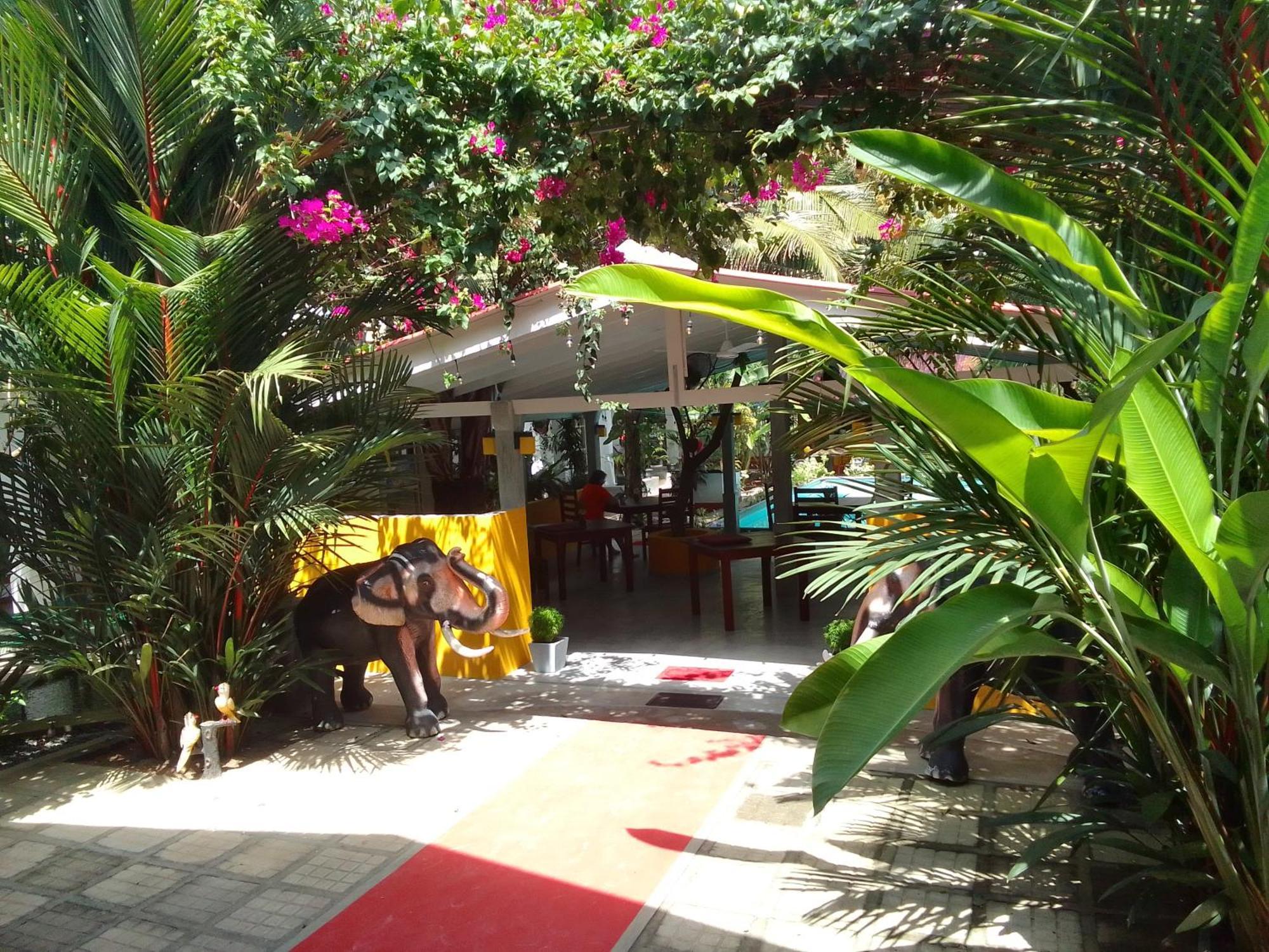 La Perla Bentota Hotel Exterior photo